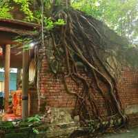 เที่ยวใกล้กรุงแถมได้บุญ กับวัดเลขธรรมกิตติ์ นครนายก