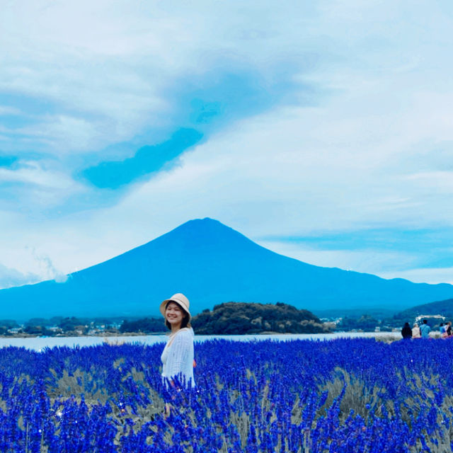 富士山🗻我終於見到啦！！