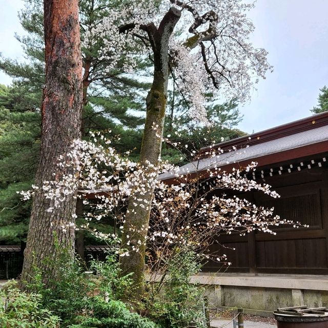 Meiji Shrine