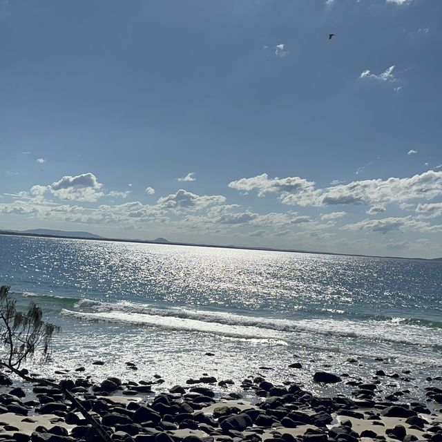 Noosa -Queensland 🇦🇺🦘🐨