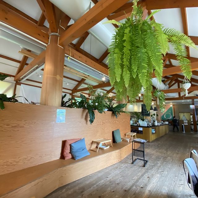 神戸西区！楽農「ファイブカントリーカフェ」兵庫県の野菜、果物にこだわるレストラン