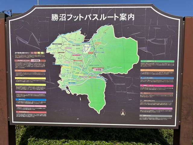 山梨・勝沼。駅で勝沼のワイン試飲可能。ワイナリー巡りの起点『勝沼ぶどう郷駅』