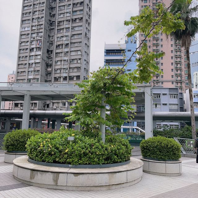 西樓角花園，為荃灣鬧市營造一片綠洲