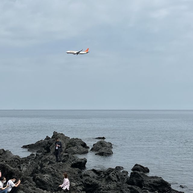 바다가 만든 용의 머리 🐲 제주 용두암