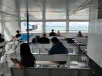 เรือซีทรานเฟอร์รี่ ดอนสัก-เกาะสมุย