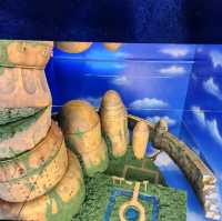 相信龍貓也是每個人喜愛的卡通人物。而在泰國曼谷central world裏8樓的龍貓展覽就是最佳選擇了。不過在2023年的9月30日就會結束。如果想去的朋友就不要錯過😆