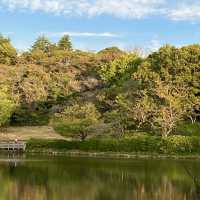🌳 한국식 정원 구간이 있는 요코하마의 미츠이케 공원에서 자연을 감상해보세요💕