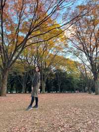 Embrace the autumn leaves in yoyogi park