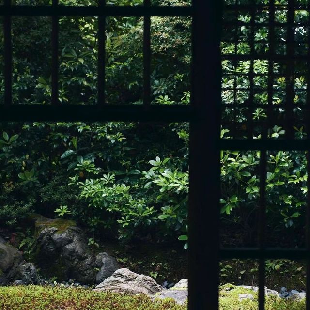 雲芊庭 🌸🏯古樸和風宅院🌿🌸