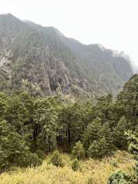 🏔️ 台灣最高峰玉山 3952 公尺🚩台灣百岳挑戰成功！