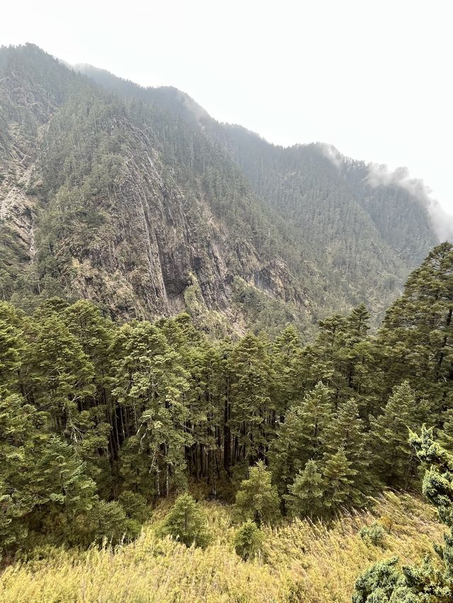 🏔️ 台灣最高峰玉山 3952 公尺🚩台灣百岳挑戰成功！