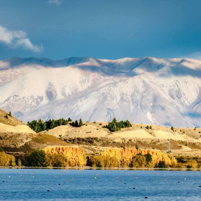 Fall in Twizel and the Mackenzie 