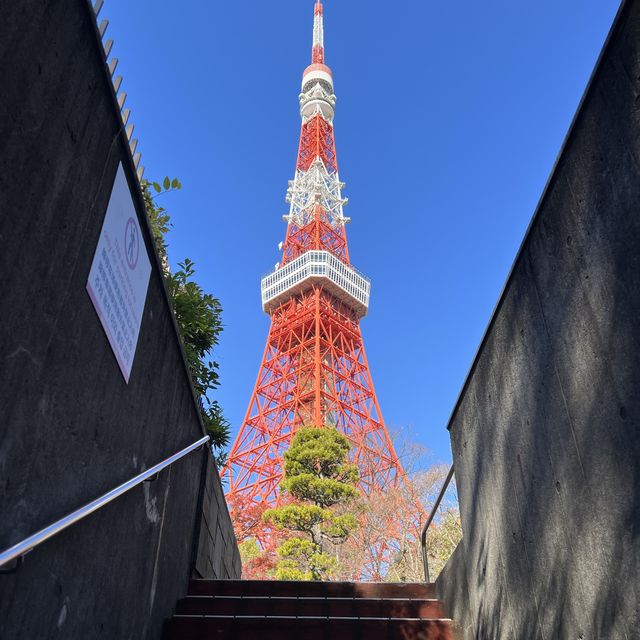 東京新舊地標🇯🇵
