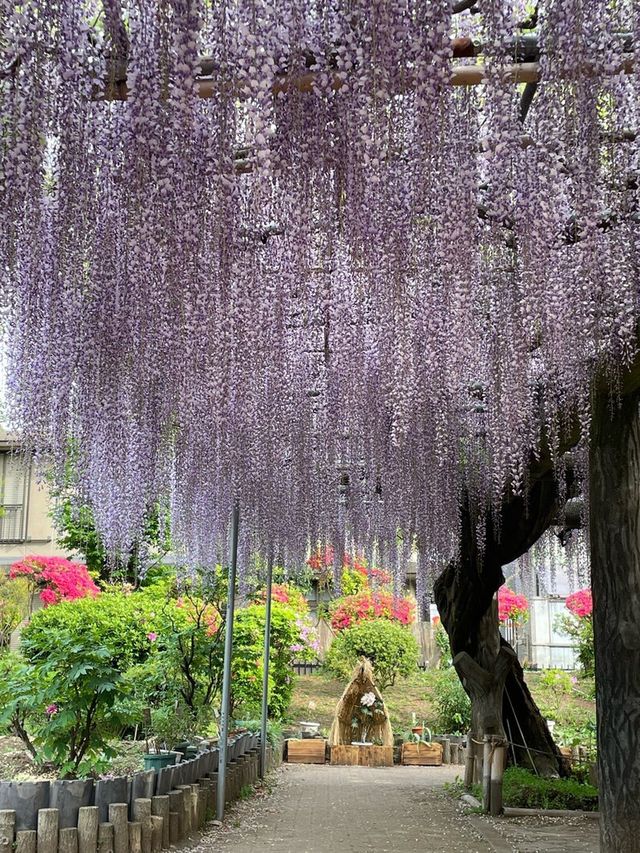 【埼玉県/箭弓稲荷神社】2023年行ってよかった！埼玉県の神社①