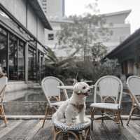  GROUND Coffee สาทร 
