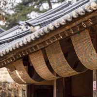 Trip to Museom Village in Winter Season 