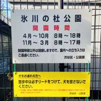 参道の途中にある公園 - 氷川の杜公園 -
