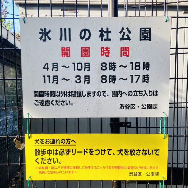 参道の途中にある公園 - 氷川の杜公園 -