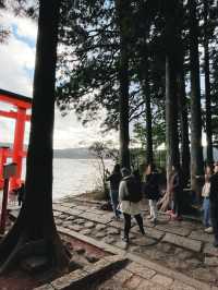 箱根🇯🇵夢幻海上神社-平和の鳥居⛩️