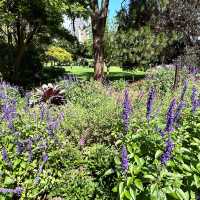 Beautiful Royal Botanic Garden in Sydney