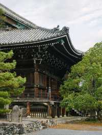 京都景點｜嵐山免費的賞楓地——清涼寺