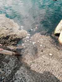 砂を掘ると温泉が出る　砂湯キャンプ場