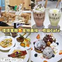 環境寬敞🥰食物美味🐈嘅貓Café