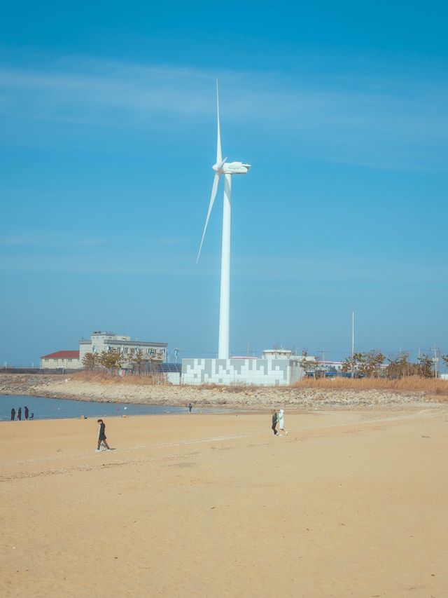 🌊제주바다에 온거같은 느낌이 드는 “대부도 방아머리해변”