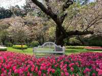 Hamamatsu Flower Park