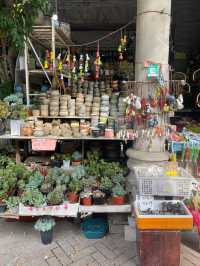 和平路公仔街😎廣州出發‼️陶瓷精品集中地
