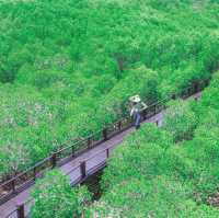 วนอุทยานปราณบุรี