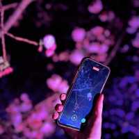 【桜攻略🌸】今年も実施‼️NAKEDの桜イベントまとめ