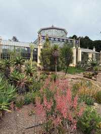 Admiring Colourful Flowers at Botanic Garden