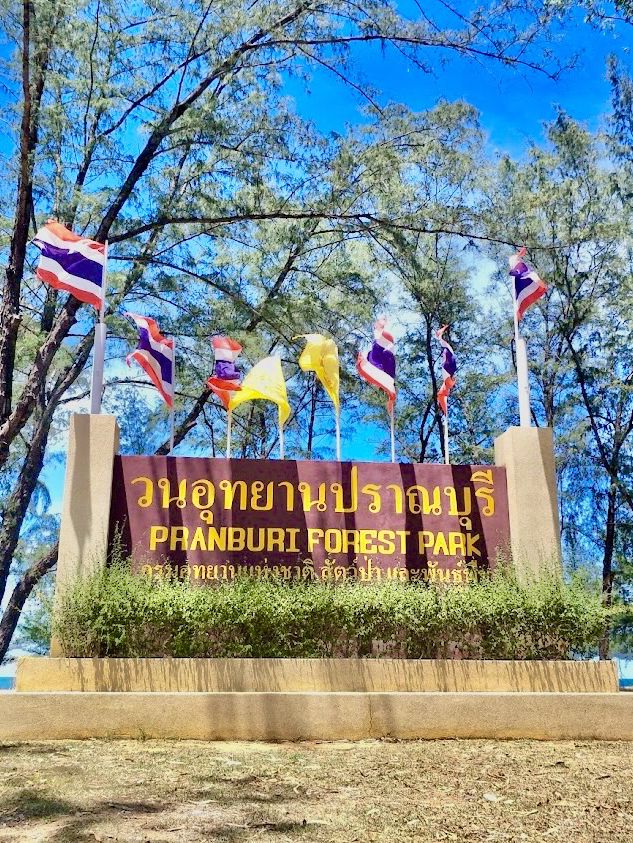 Pran Buri Forest Park 