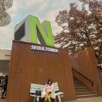 Fall-ing in Namsan Tower