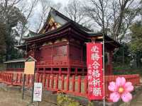 川越城的守護神 - 三芳野神社⛩️賞櫻
