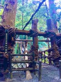【日本四國】大步危、祖谷溫泉、祖谷蔓橋的秘境魅力