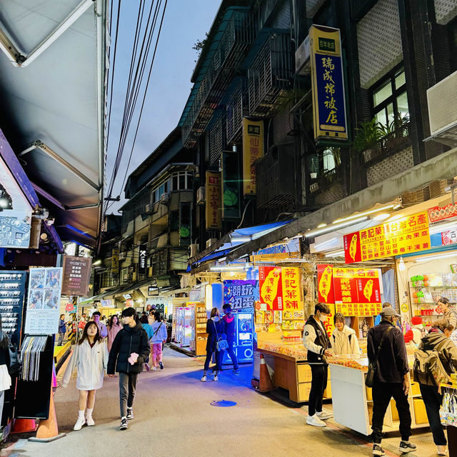 Taipei Shilin Night Market 