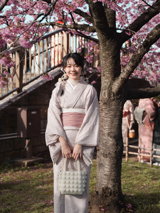 🇯🇵東京淺草 陽光櫻包圍 櫻花難民到這裏就對啦！🌸