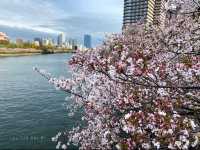 Kema Sakuranomiya Park