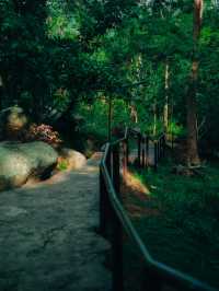 พิชิตดอยขุนตาล แบบละเอียดยิบบ 🚂⛰️