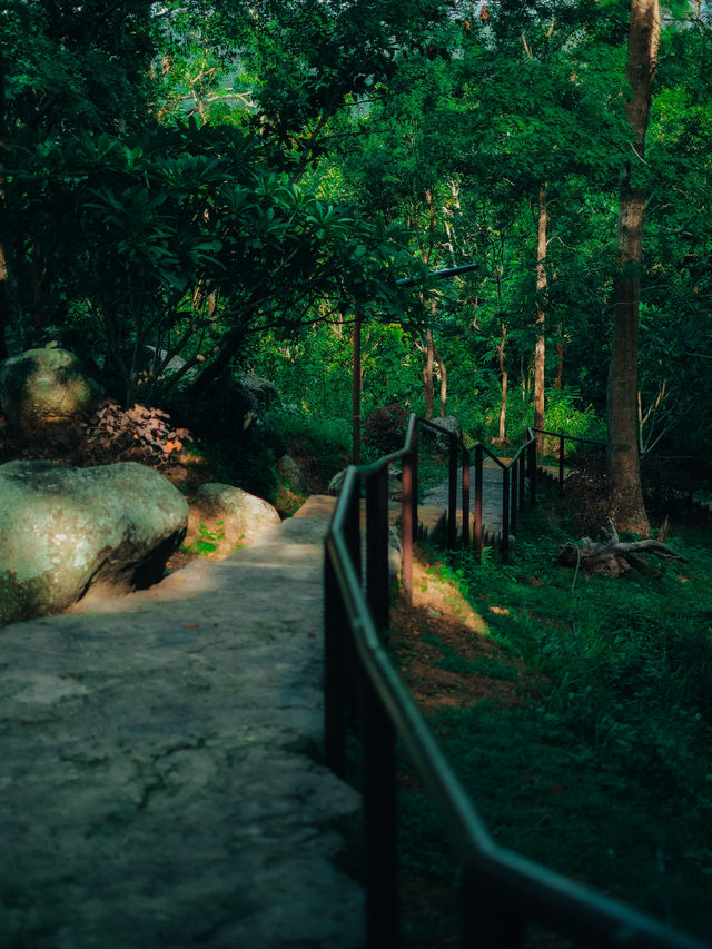 พิชิตดอยขุนตาล แบบละเอียดยิบบ 🚂⛰️