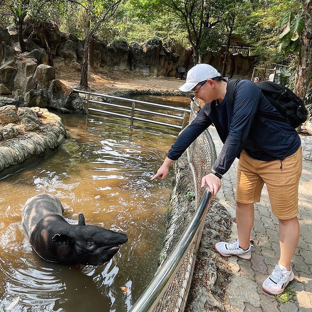 Safari World | 曼谷野生動物世界