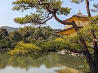 The golden pavilion 