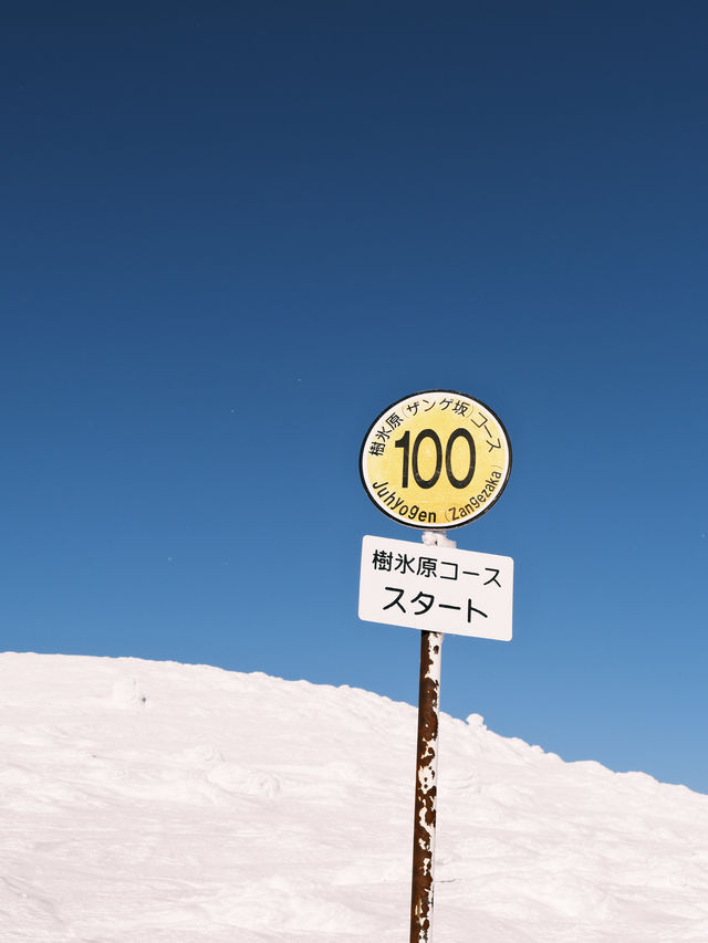 日本東北·山形縣藏王樹冰
