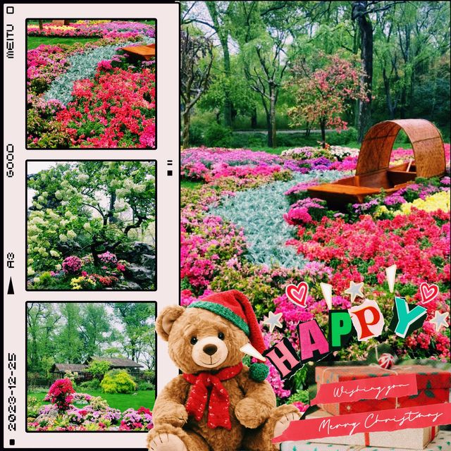 臺北花博公園：花海盡收眼底