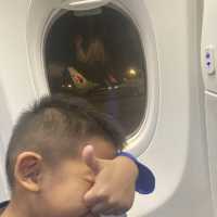 Fly with Malaysia Airlines 