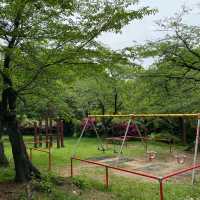 歴史探訪　乙川白山公園