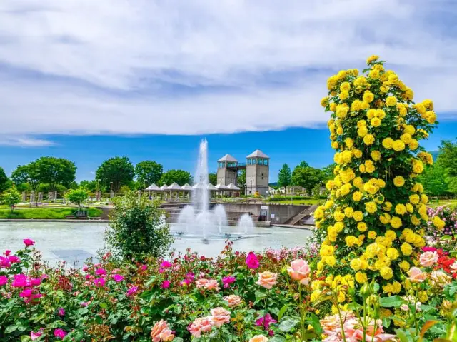 群馬金子種苗群馬花卉公園