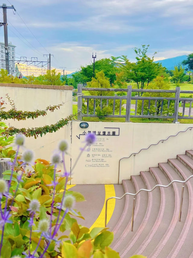 【長野】女子旅におすすめ🤍完全無料なフラワーガーデン